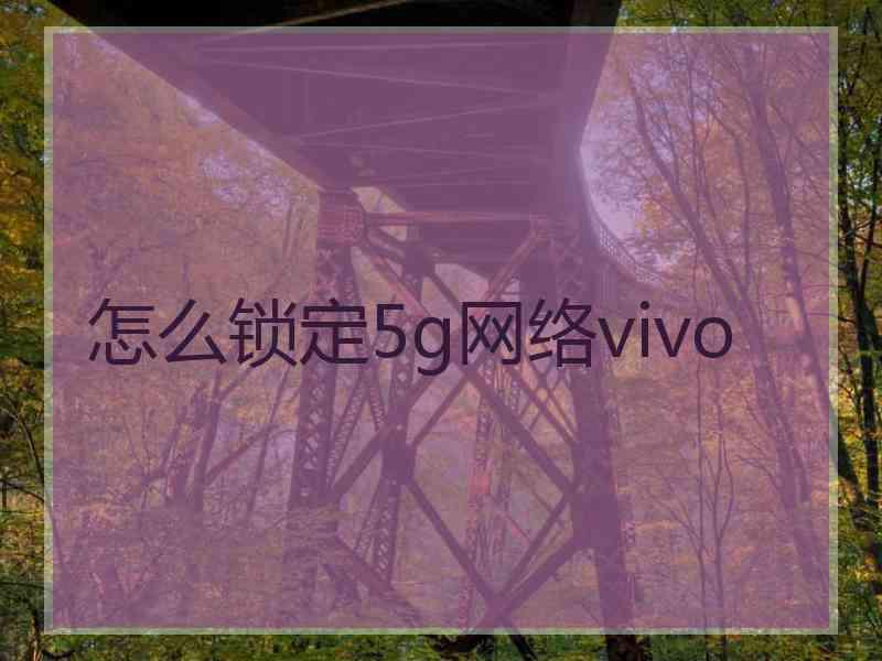 怎么锁定5g网络vivo