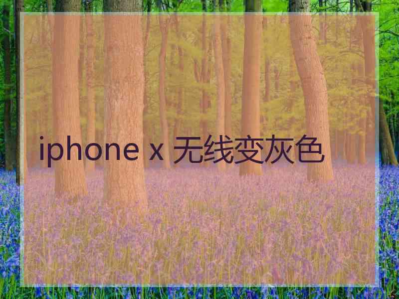 iphone x 无线变灰色