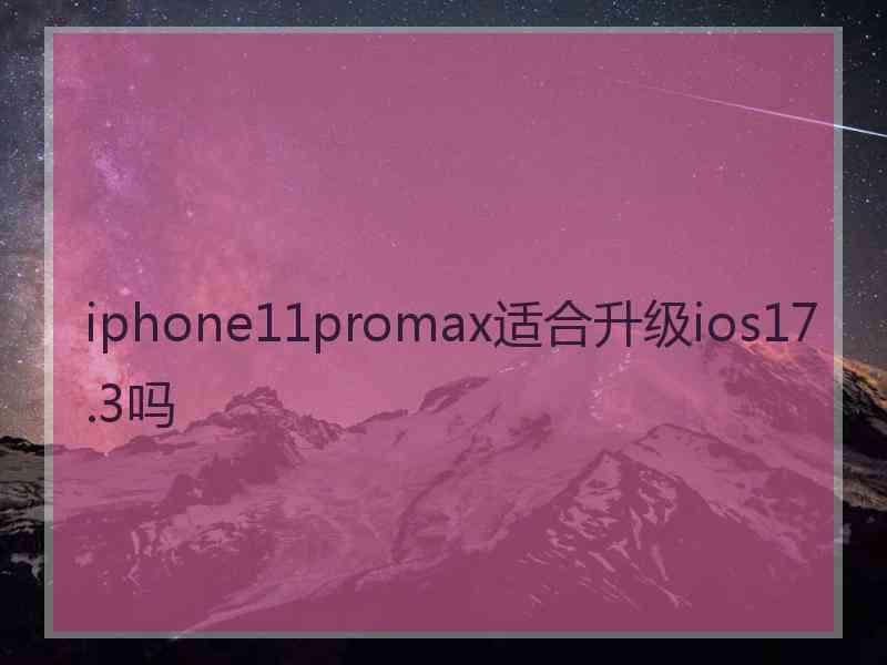 iphone11promax适合升级ios17.3吗