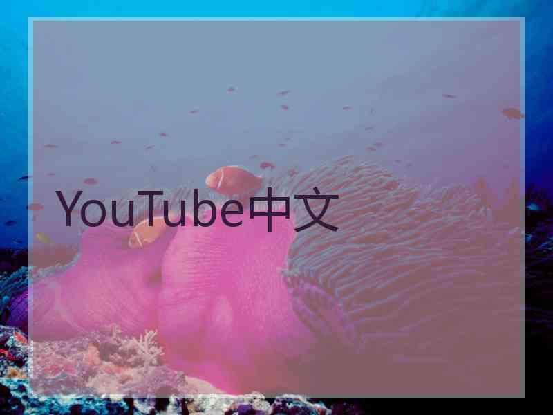 YouTube中文