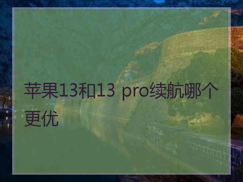 苹果13和13 pro续航哪个更优