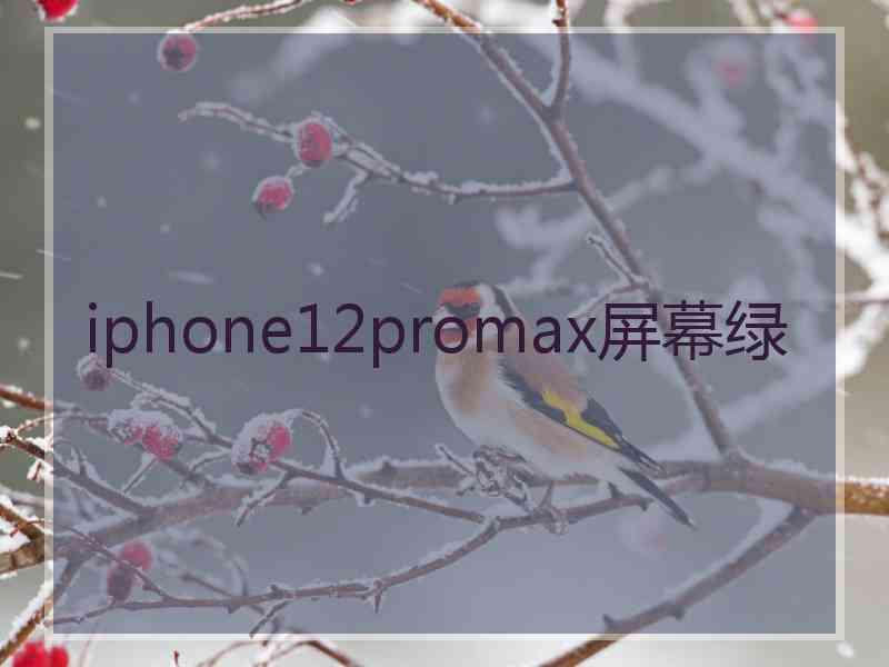 iphone12promax屏幕绿