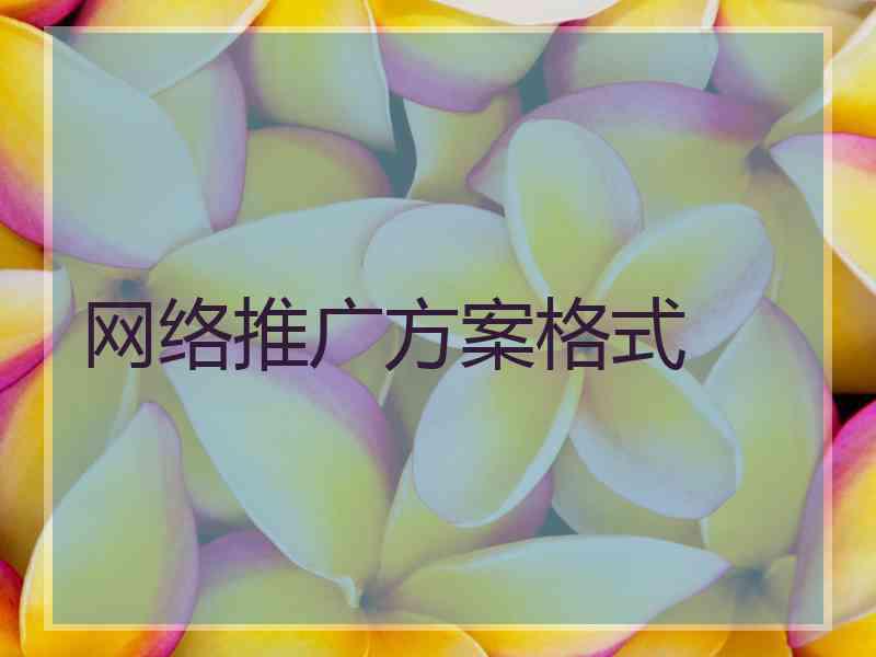 网络推广方案格式