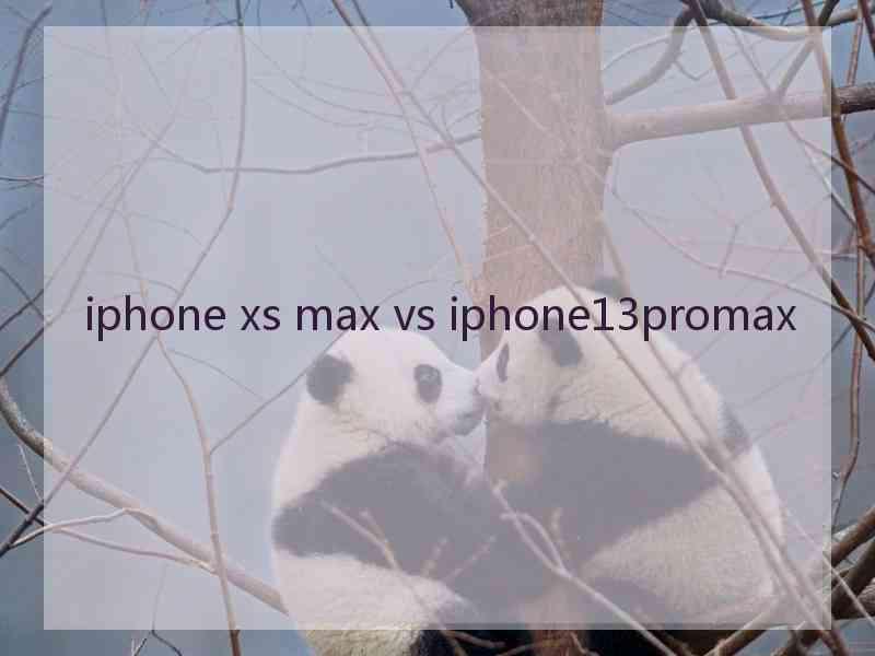 iphone xs max vs iphone13promax