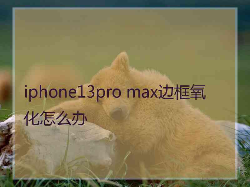 iphone13pro max边框氧化怎么办