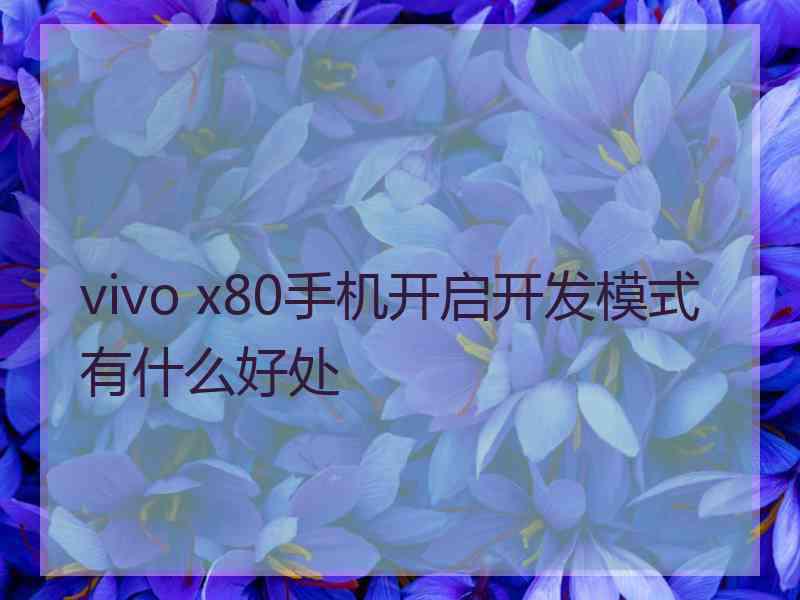 vivo x80手机开启开发模式有什么好处