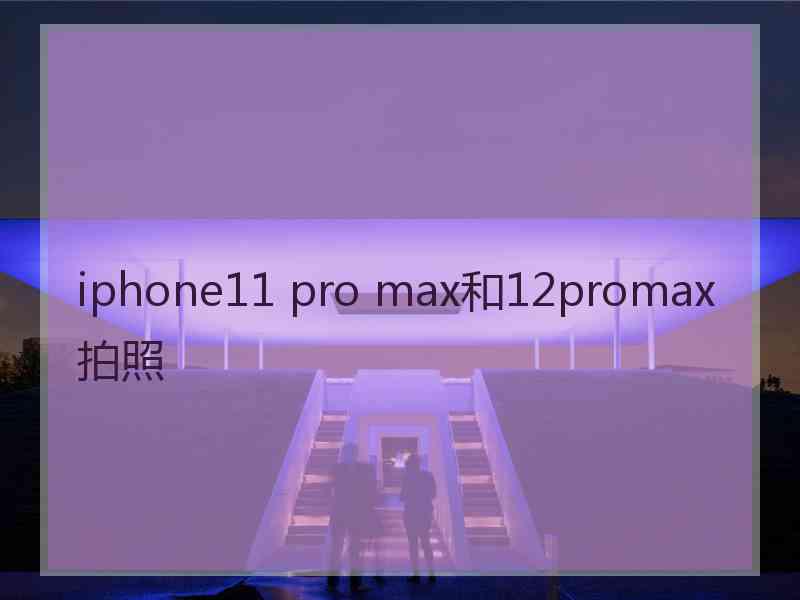 iphone11 pro max和12promax拍照