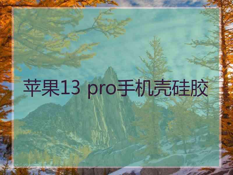 苹果13 pro手机壳硅胶