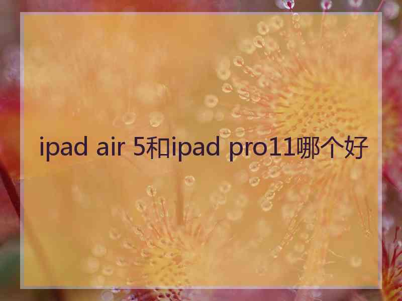 ipad air 5和ipad pro11哪个好