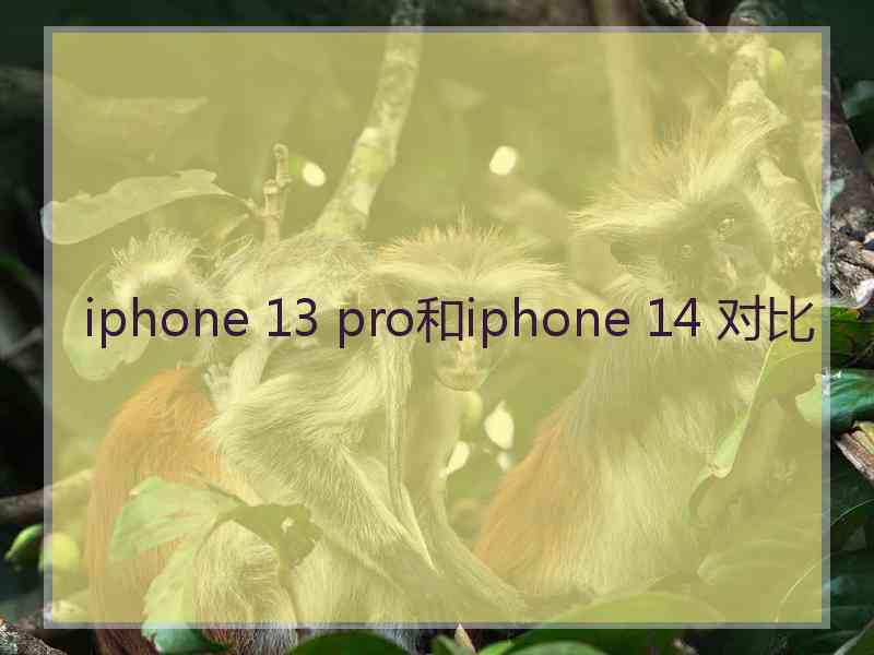 iphone 13 pro和iphone 14 对比