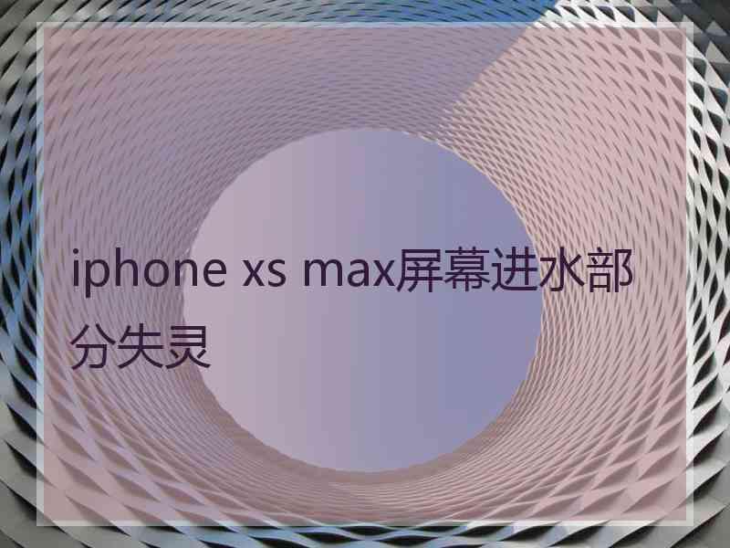 iphone xs max屏幕进水部分失灵