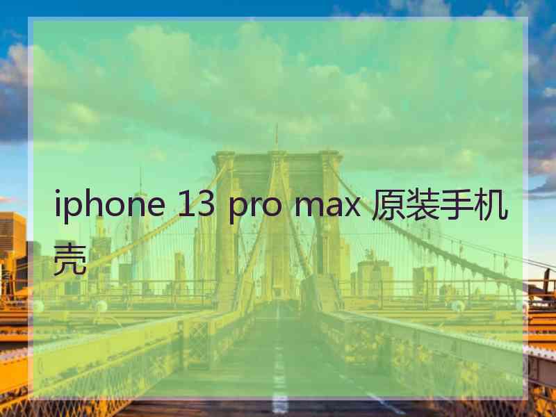 iphone 13 pro max 原装手机壳