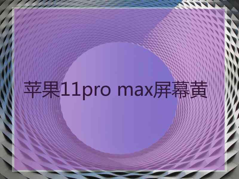 苹果11pro max屏幕黄