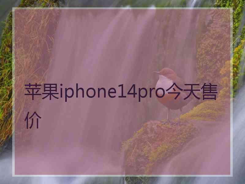 苹果iphone14pro今天售价