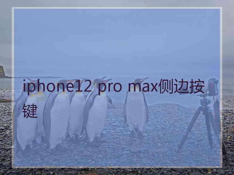 iphone12 pro max侧边按键