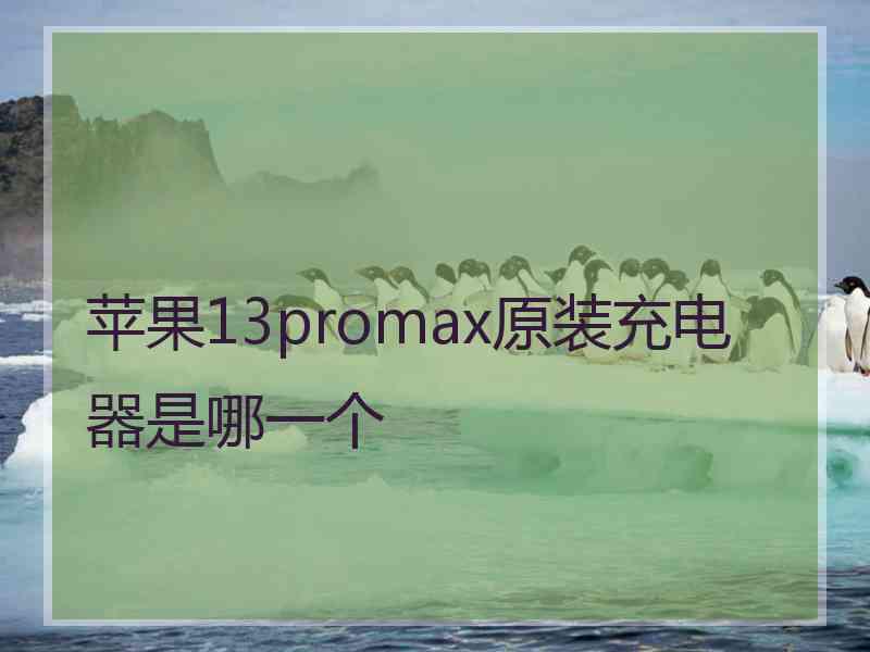 苹果13promax原装充电器是哪一个