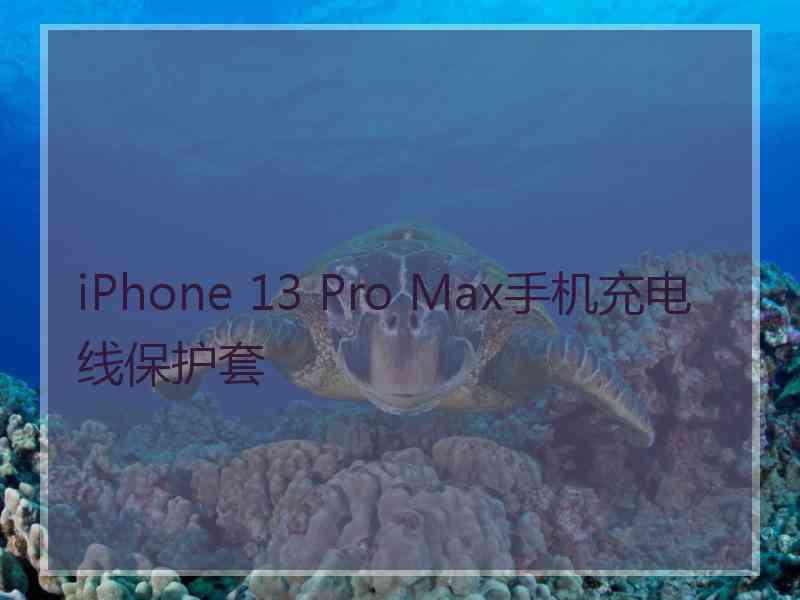 iPhone 13 Pro Max手机充电线保护套