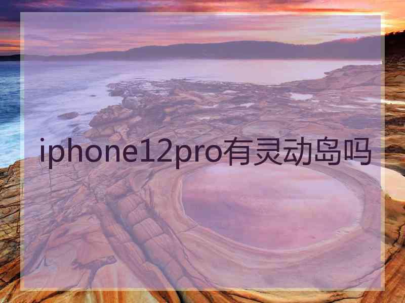 iphone12pro有灵动岛吗