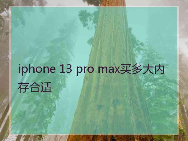 iphone 13 pro max买多大内存合适