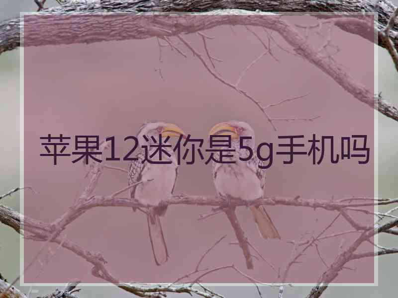 苹果12迷你是5g手机吗