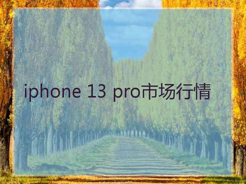 iphone 13 pro市场行情