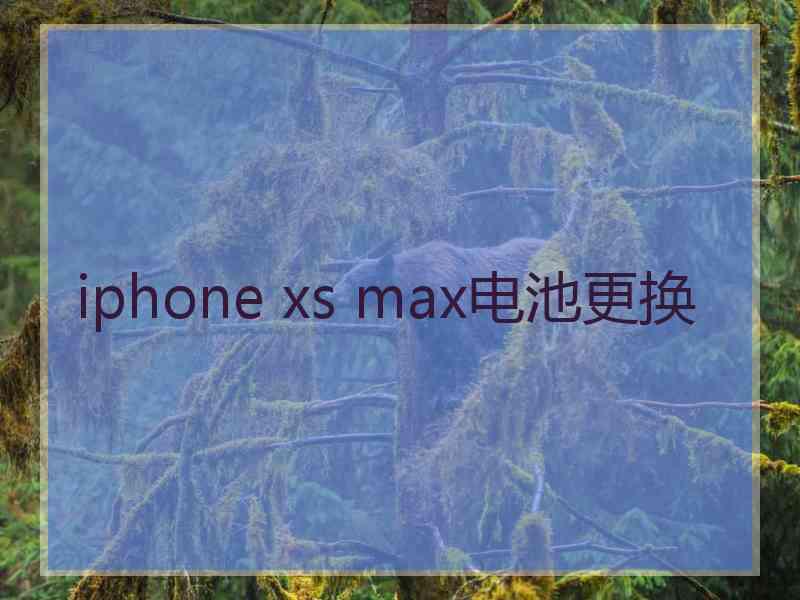 iphone xs max电池更换