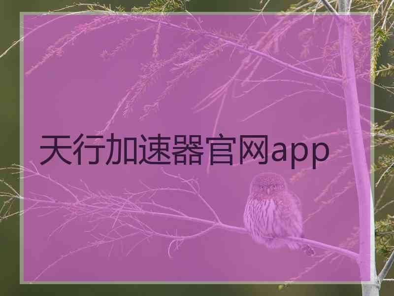 天行加速器官网app