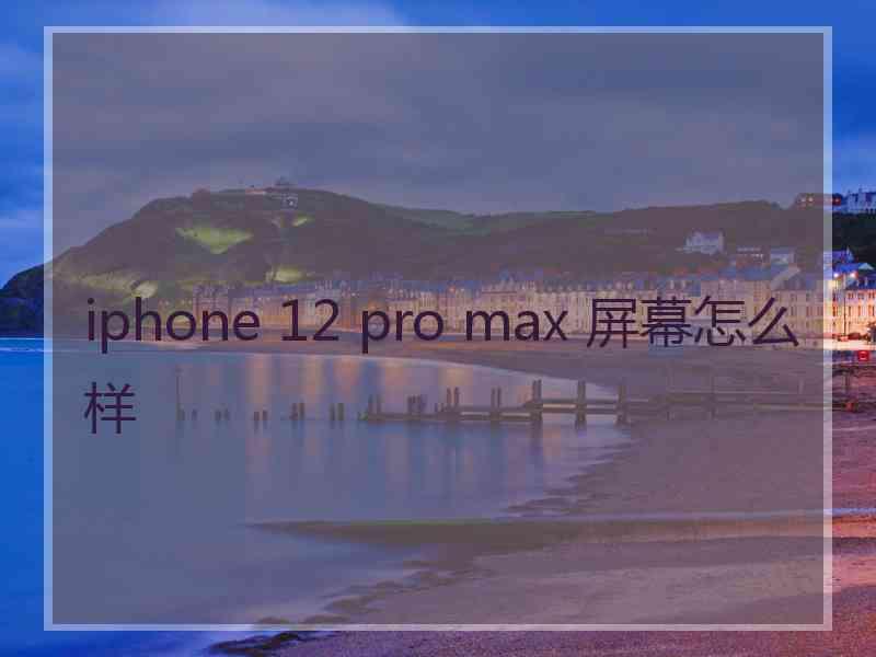 iphone 12 pro max 屏幕怎么样