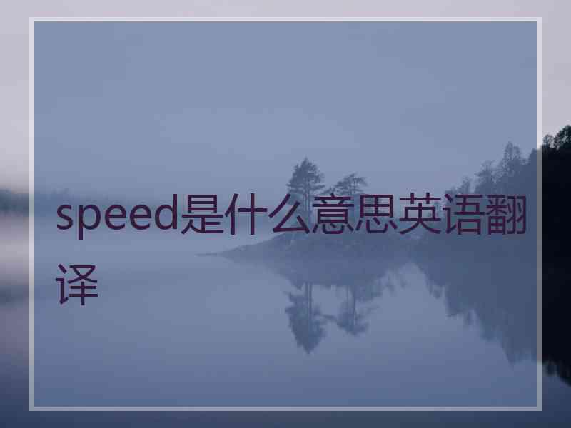 speed是什么意思英语翻译