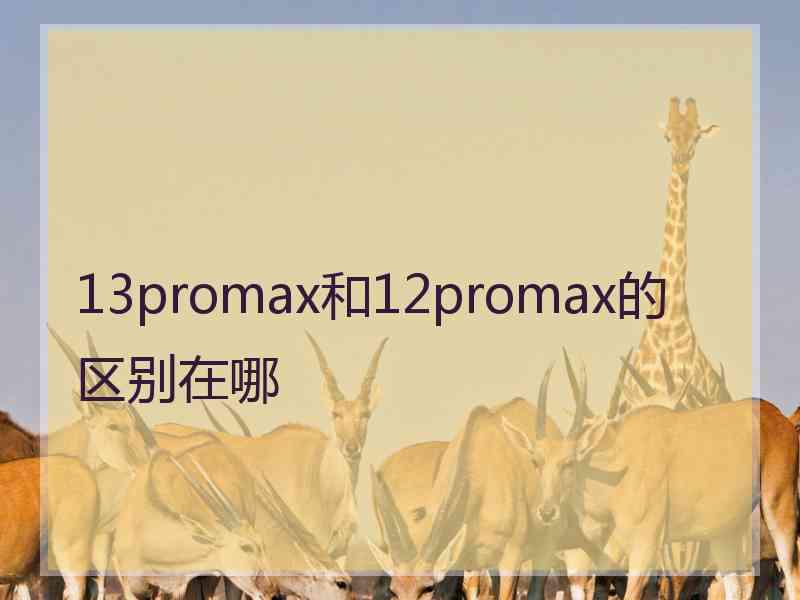 13promax和12promax的区别在哪