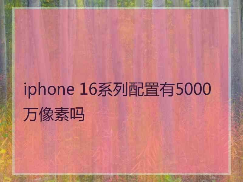 iphone 16系列配置有5000万像素吗