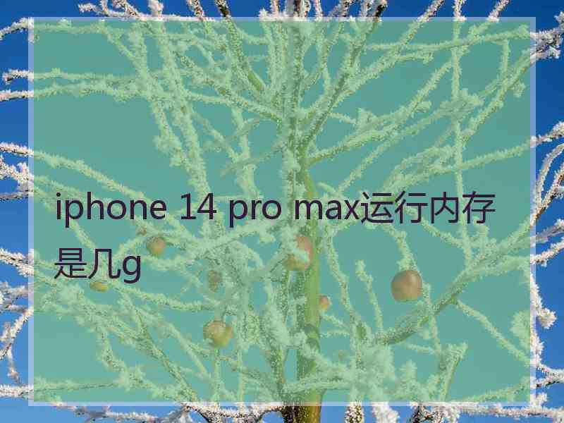 iphone 14 pro max运行内存是几g