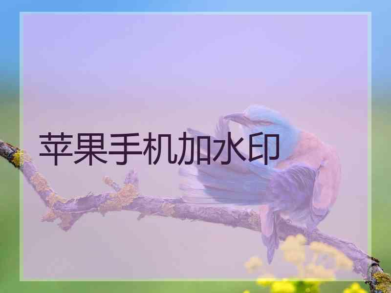 苹果手机加水印