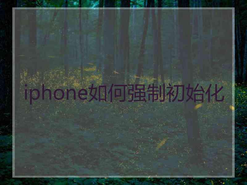 iphone如何强制初始化