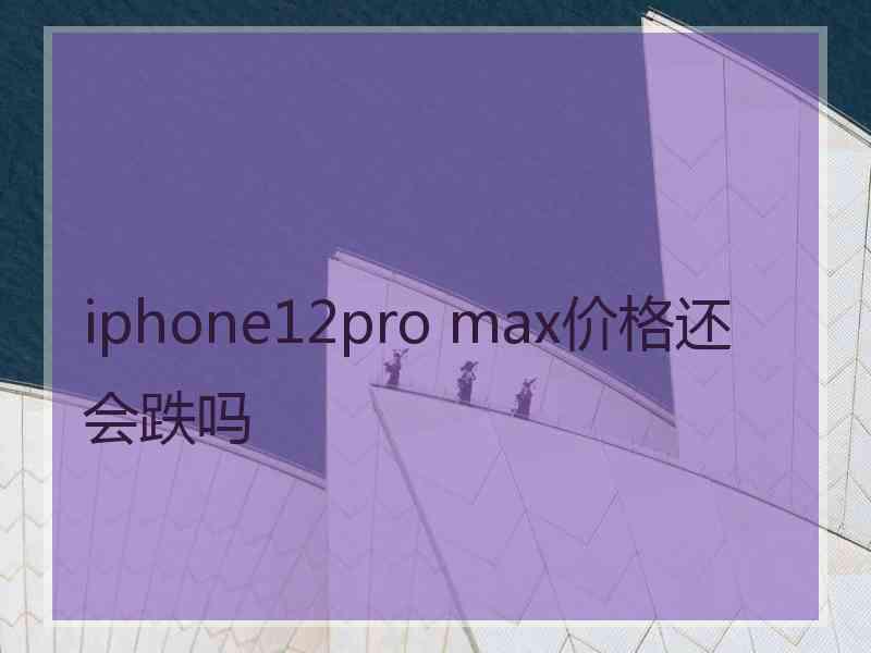 iphone12pro max价格还会跌吗