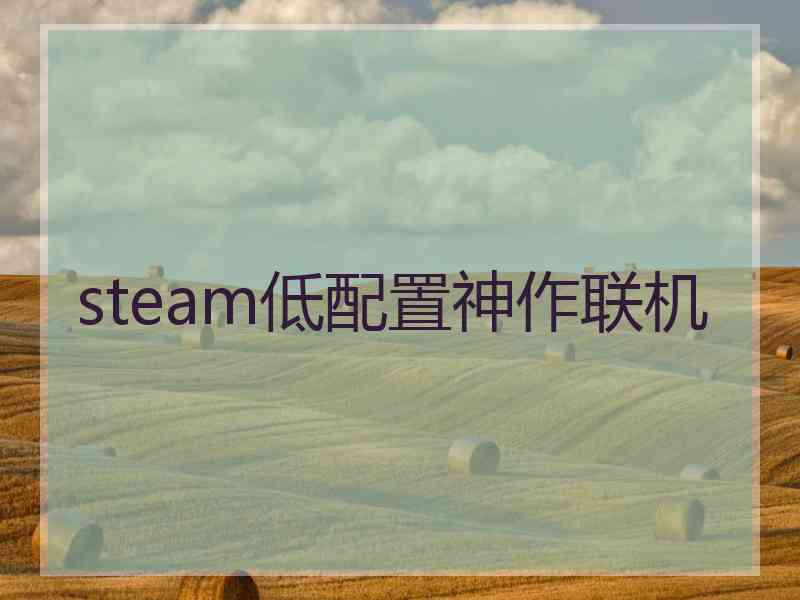 steam低配置神作联机