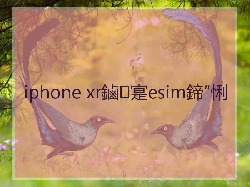 iphone xr鏀寔esim鍗″悧