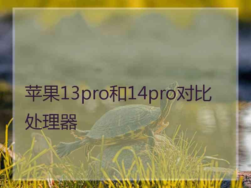 苹果13pro和14pro对比处理器