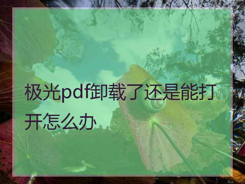 极光pdf卸载了还是能打开怎么办