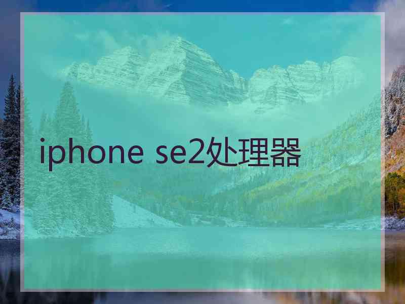 iphone se2处理器