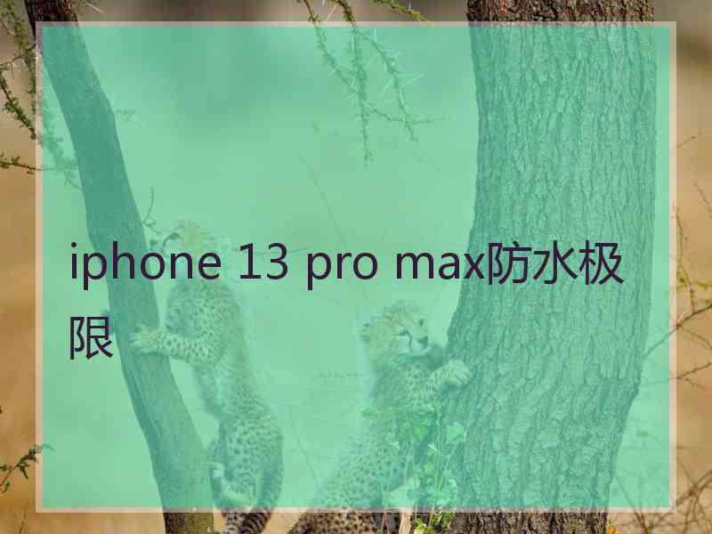 iphone 13 pro max防水极限