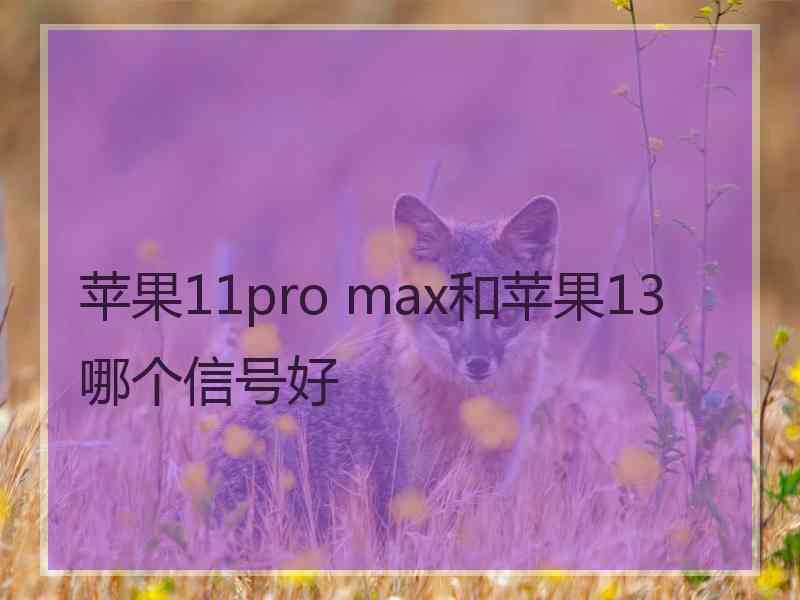 苹果11pro max和苹果13哪个信号好