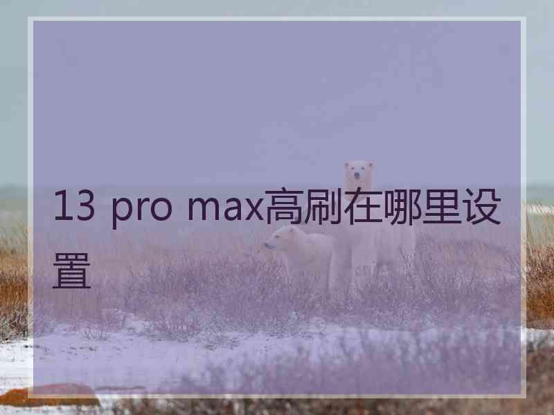 13 pro max高刷在哪里设置