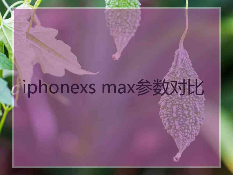 iphonexs max参数对比