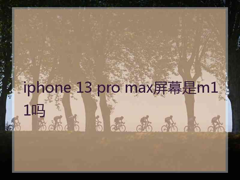 iphone 13 pro max屏幕是m11吗