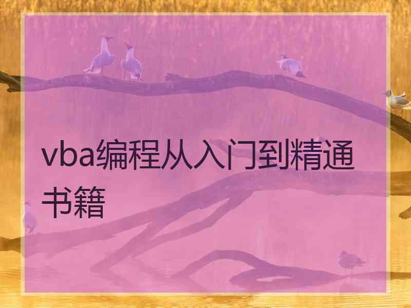 vba编程从入门到精通书籍