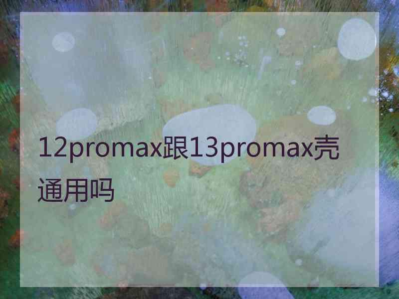 12promax跟13promax壳通用吗