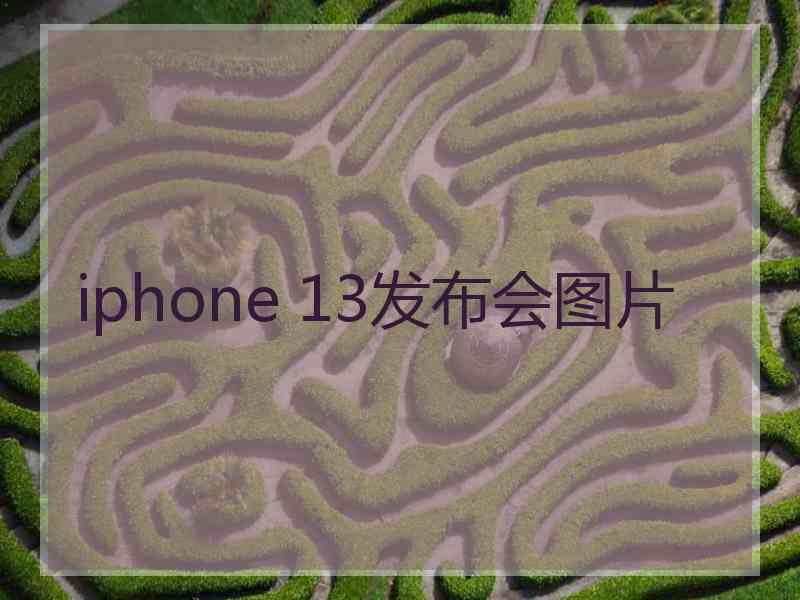 iphone 13发布会图片