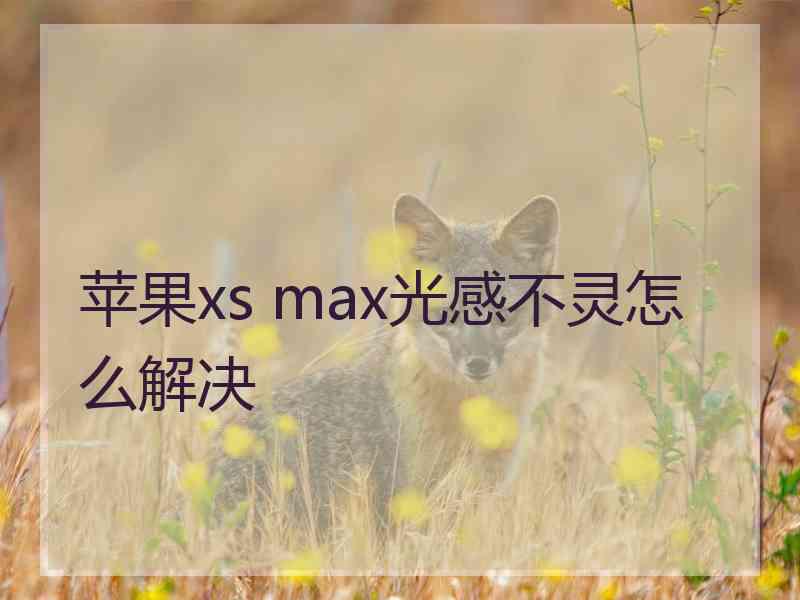 苹果xs max光感不灵怎么解决