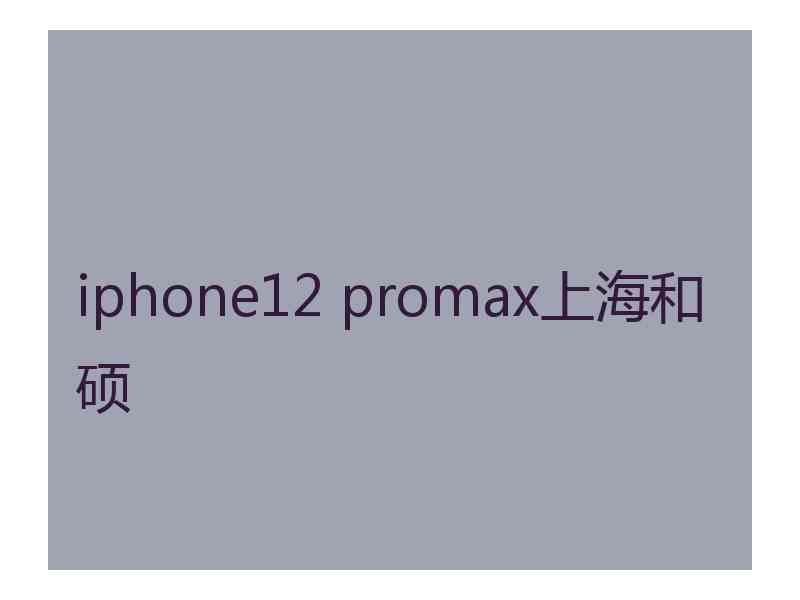 iphone12 promax上海和硕